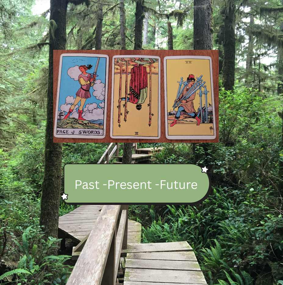 Past / Present / Future