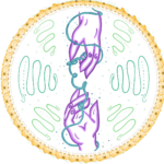 Welcome to Elliot's Echo